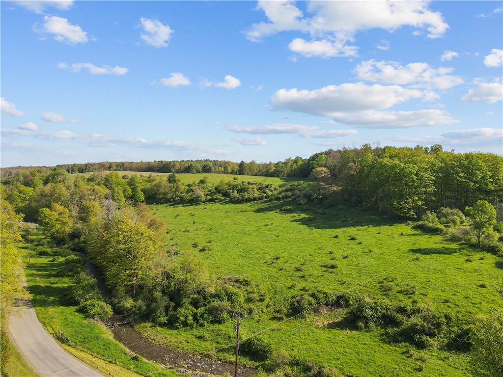 725 S Hill Road, Spencer, New York image 40