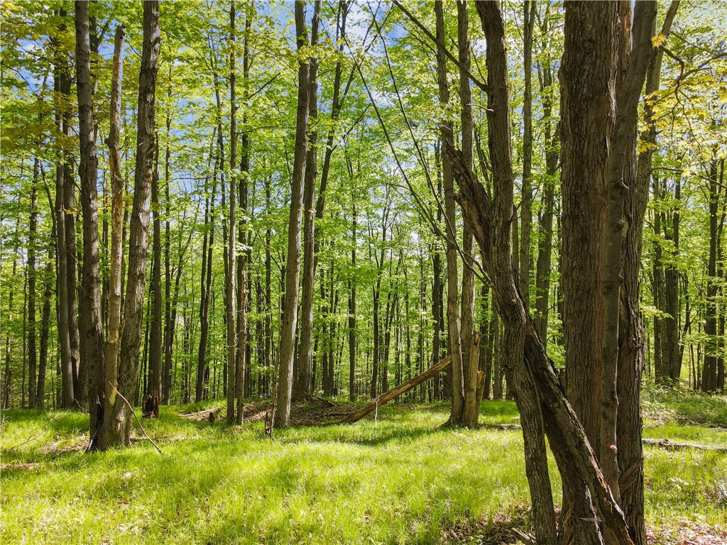 725 S Hill Road, Spencer, New York image 38