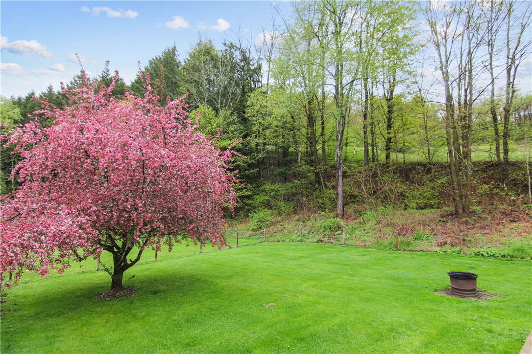 725 S Hill Road, Spencer, New York image 18
