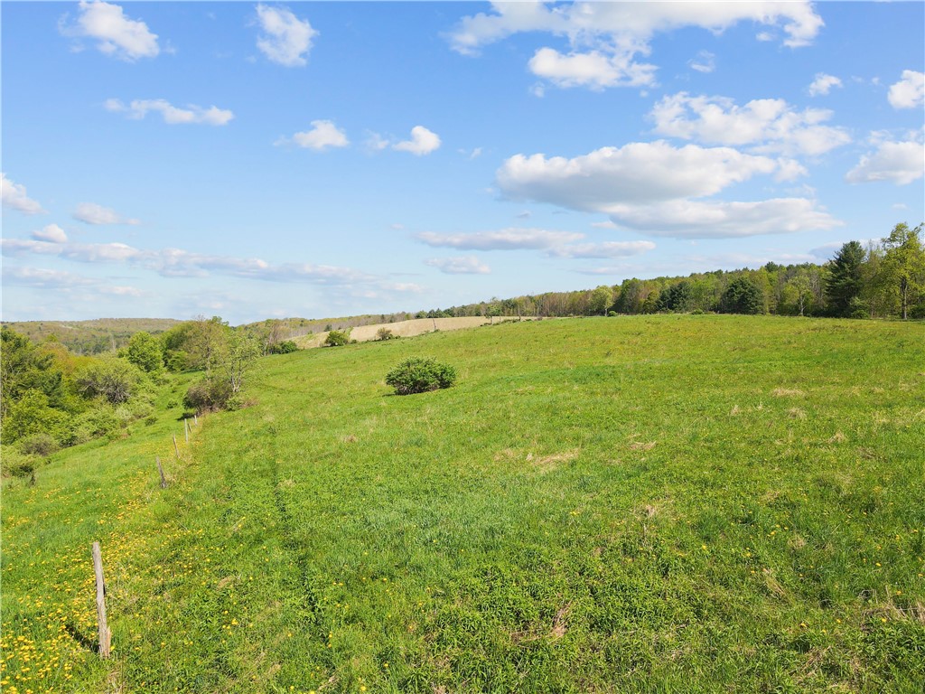 725 S Hill Road, Spencer, New York image 22