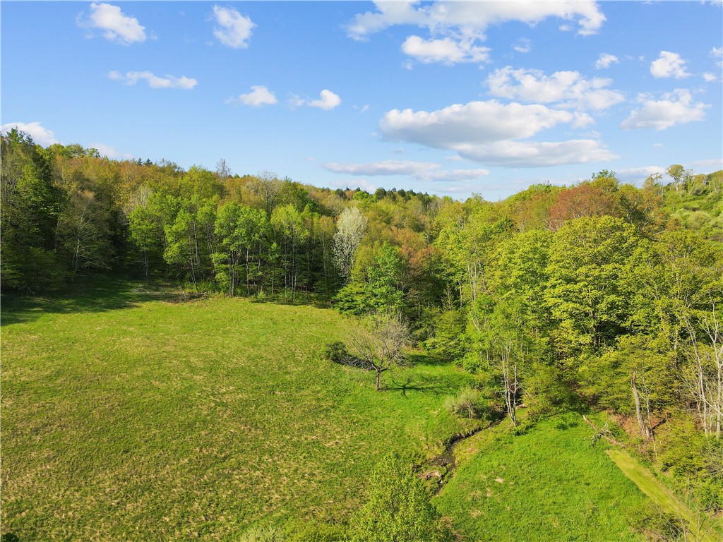 725 S Hill Road, Spencer, New York image 20