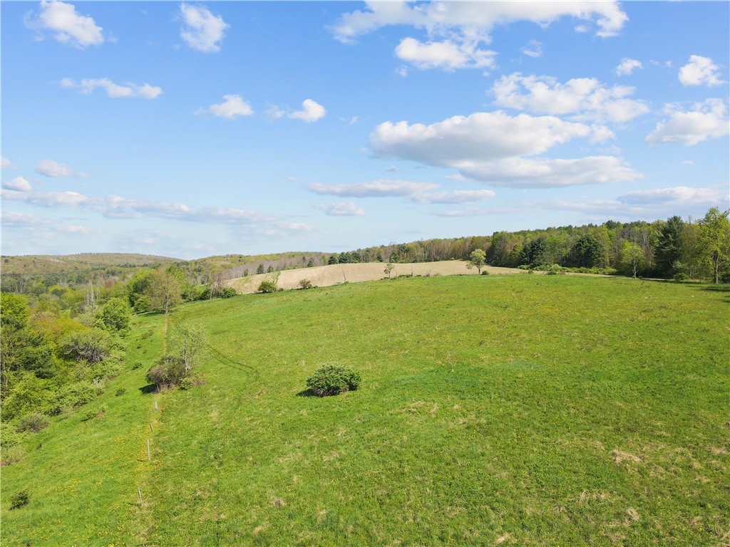 725 S Hill Road, Spencer, New York image 9