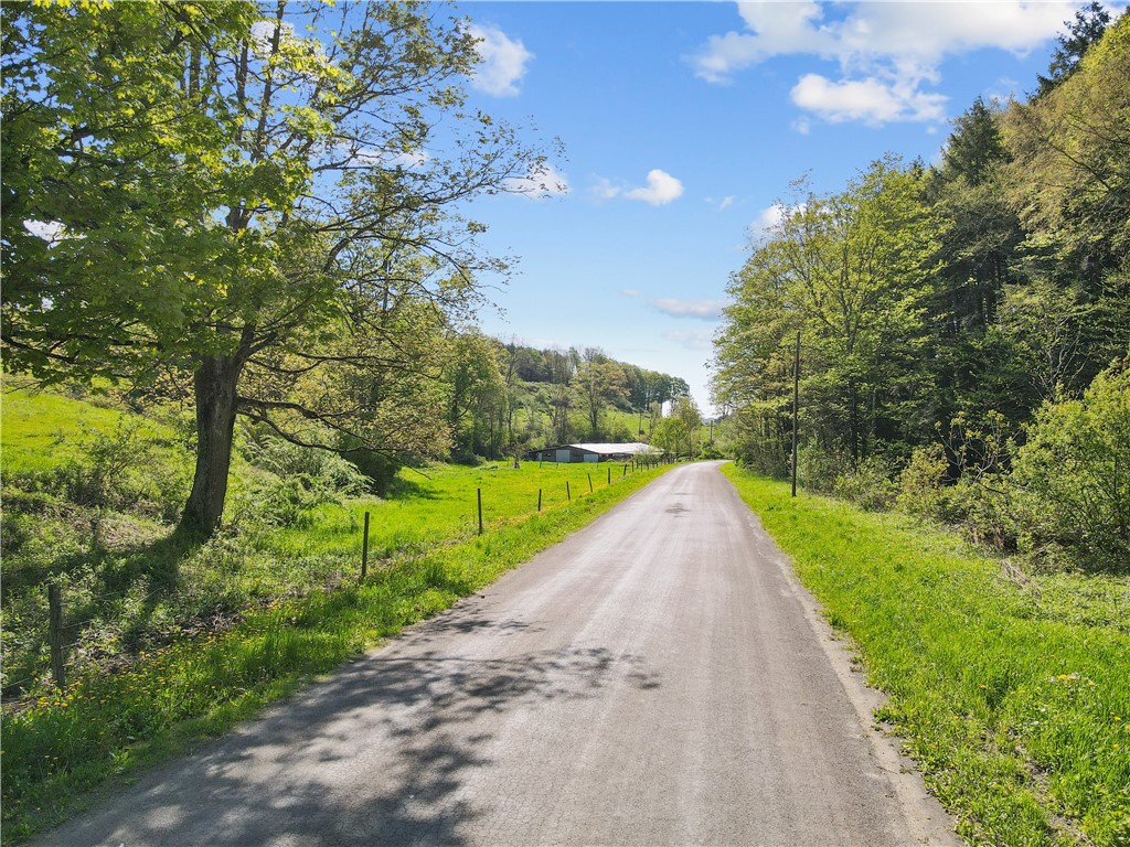725 S Hill Road, Spencer, New York image 2