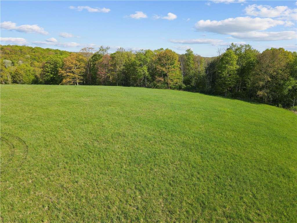 725 S Hill Road, Spencer, New York image 26