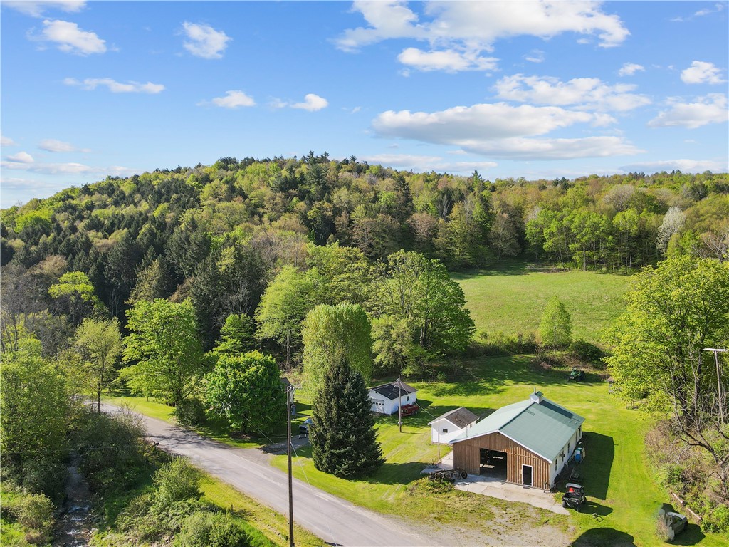 725 S Hill Road, Spencer, New York image 10
