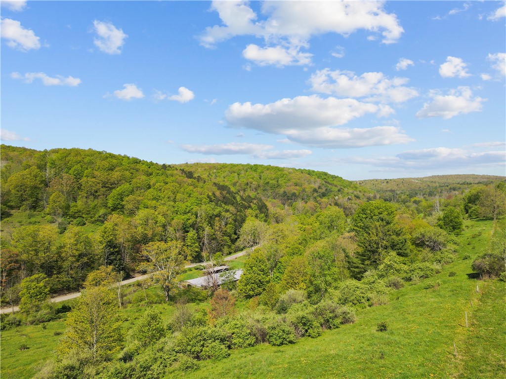 725 S Hill Road, Spencer, New York image 3