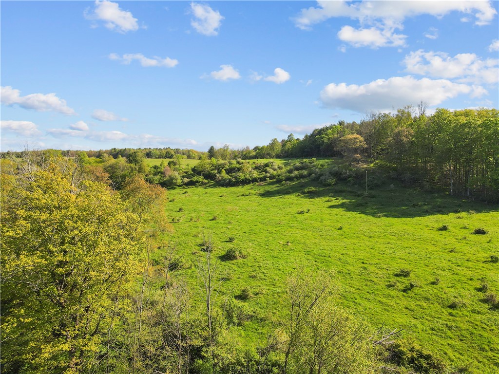 725 S Hill Road, Spencer, New York image 39