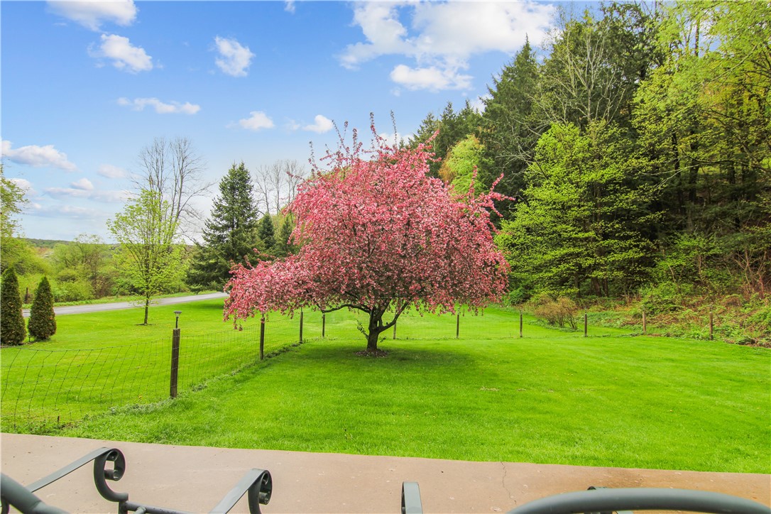725 S Hill Road, Spencer, New York image 35