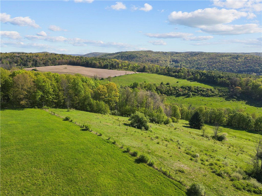 725 S Hill Road, Spencer, New York image 5