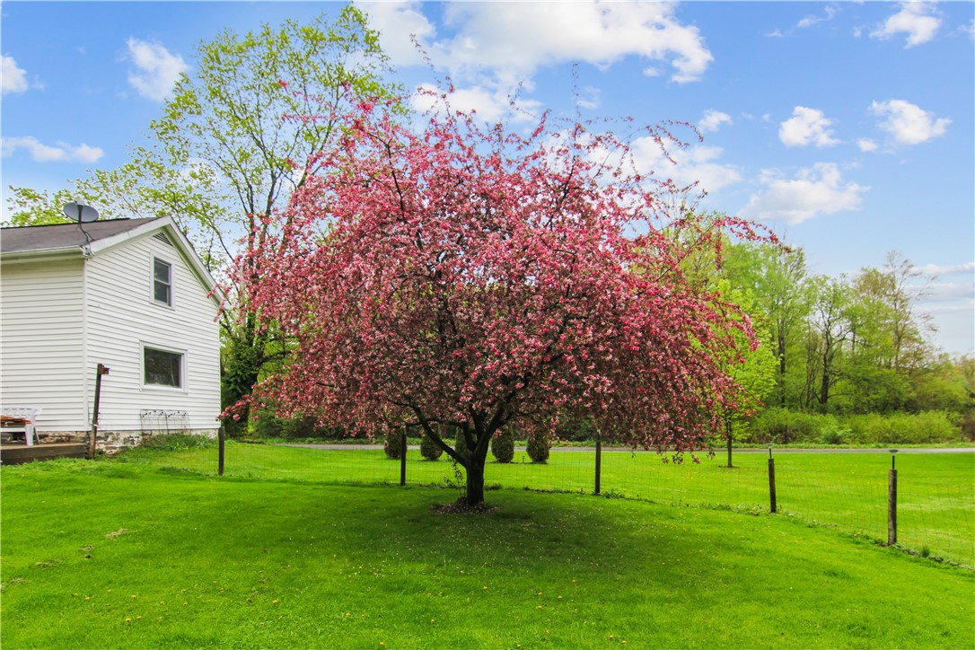 725 S Hill Road, Spencer, New York image 36