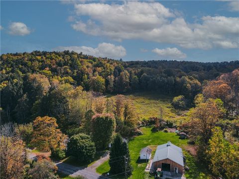 725 S Hill Road Spencer NY 14883