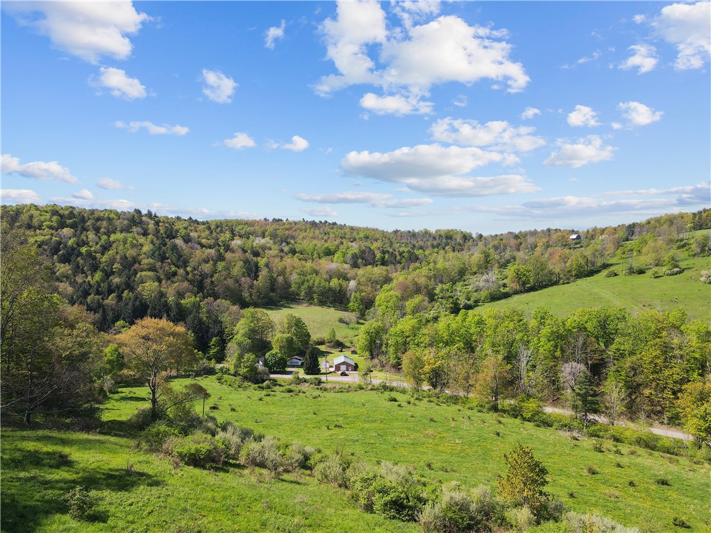 725 S Hill Road, Spencer, New York image 1