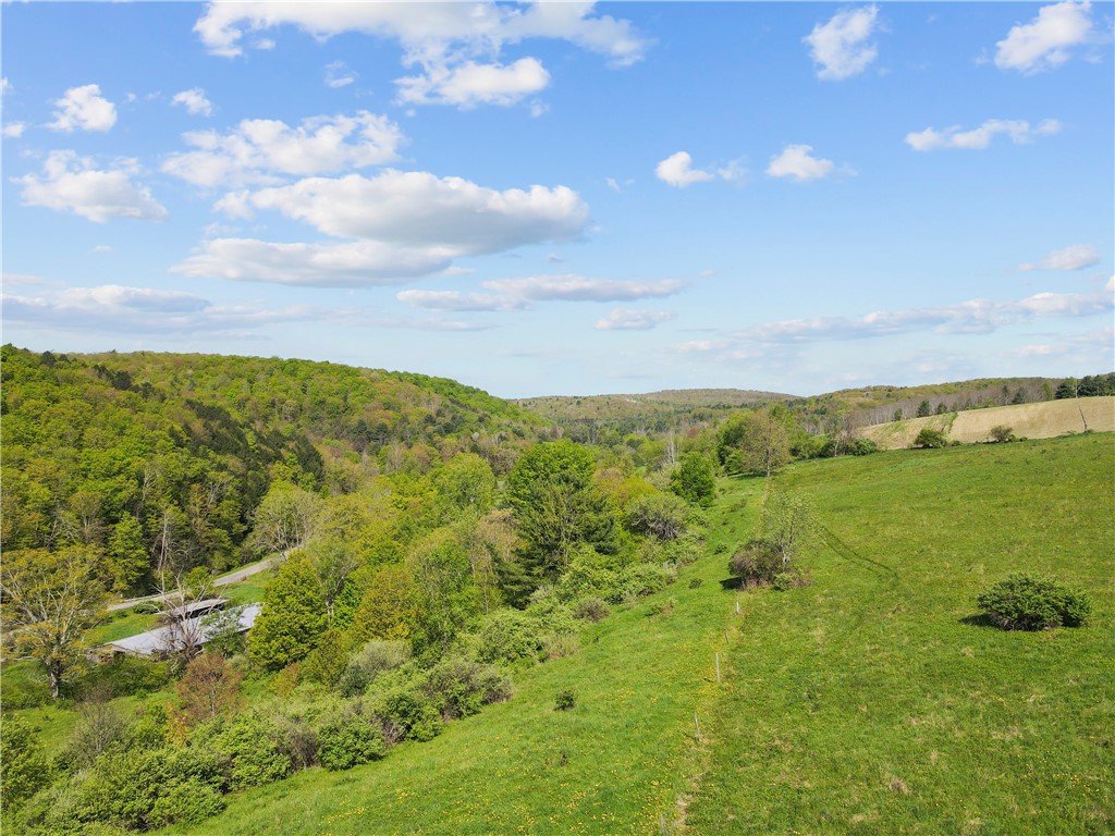 725 S Hill Road, Spencer, New York image 23