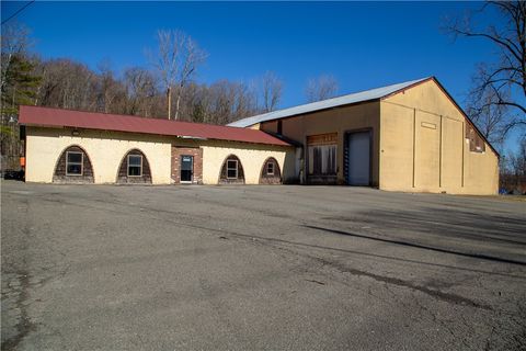 106 Horton Road Newfield NY 14867