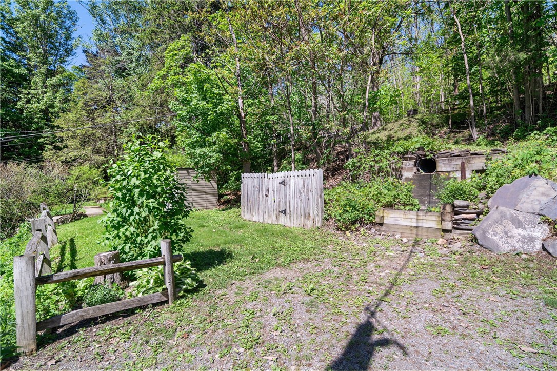 3881 North Falls Road, Hector, New York image 46