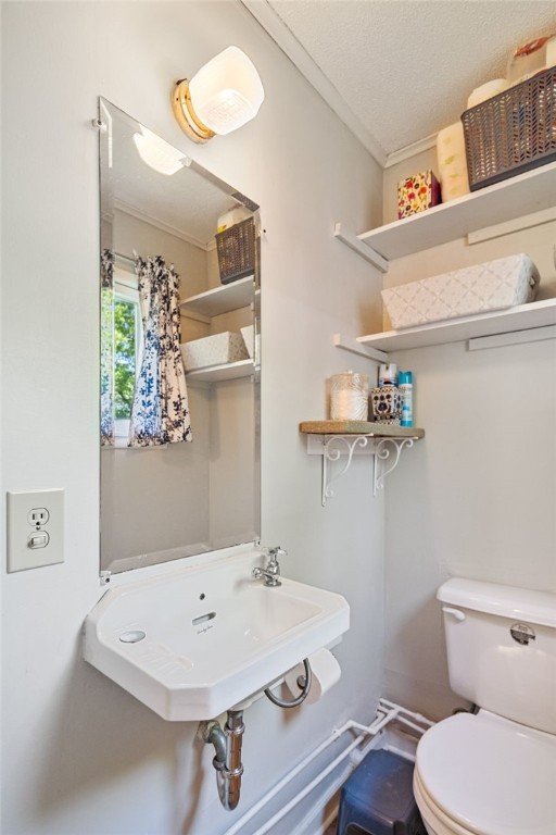 3881 North Falls Road, Hector, New York image 30