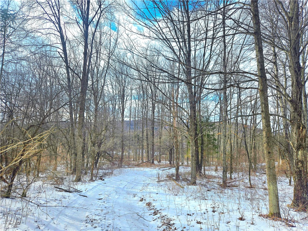 3380 County Road 6, Hector, New York image 4