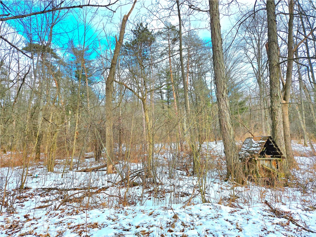 3380 County Road 6, Hector, New York image 5