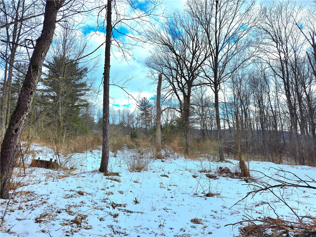 3380 County Road 6, Hector, New York image 6