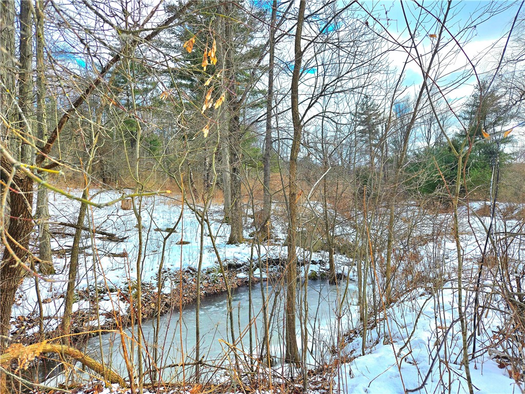 3380 County Road 6, Hector, New York image 3