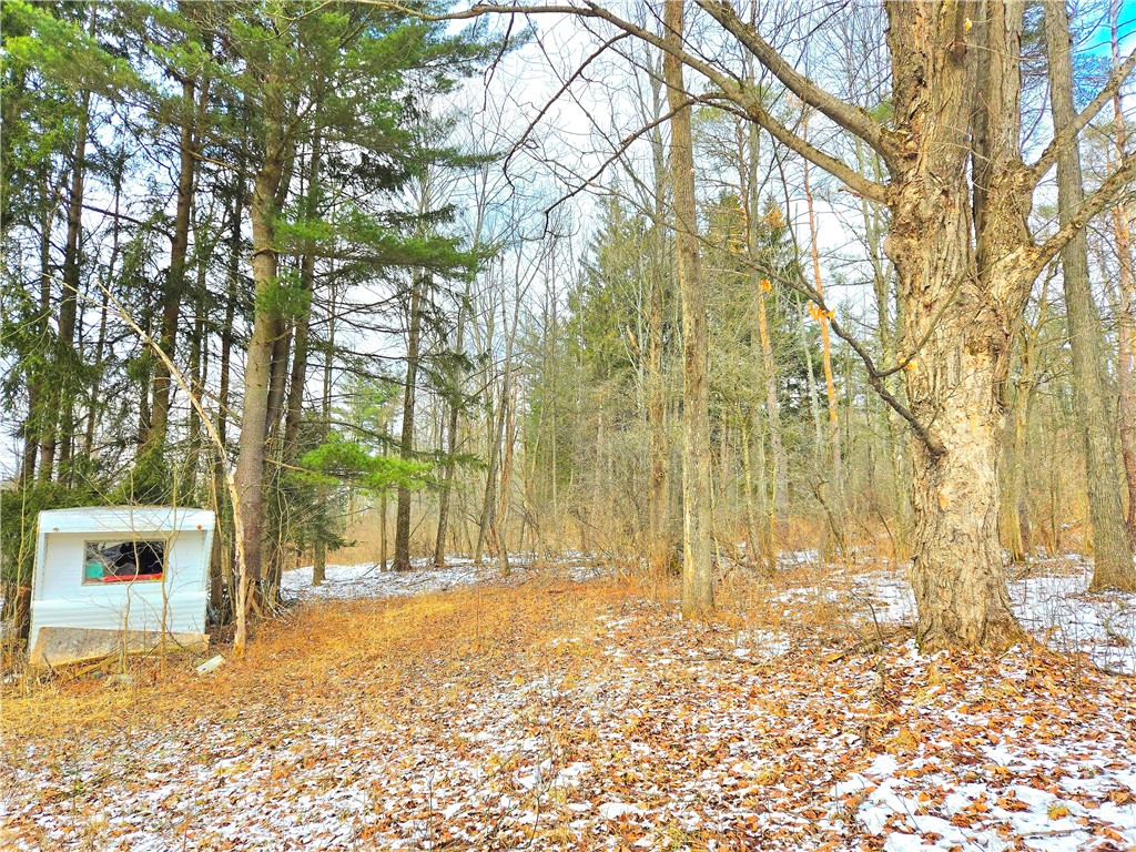 3380 County Road 6, Hector, New York image 7