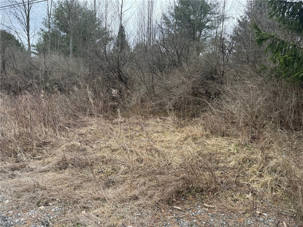 0 W MILLER Road