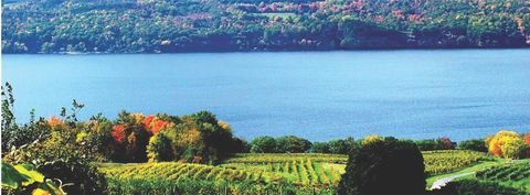 Vacant Land For Sale - 4966 State Route 414<br/> Schuyler County, Hector, NY 14818