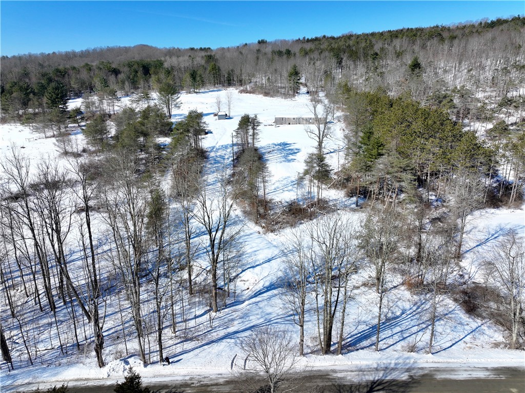 320 Owl Creek Rd Rd, Spencer, New York image 2