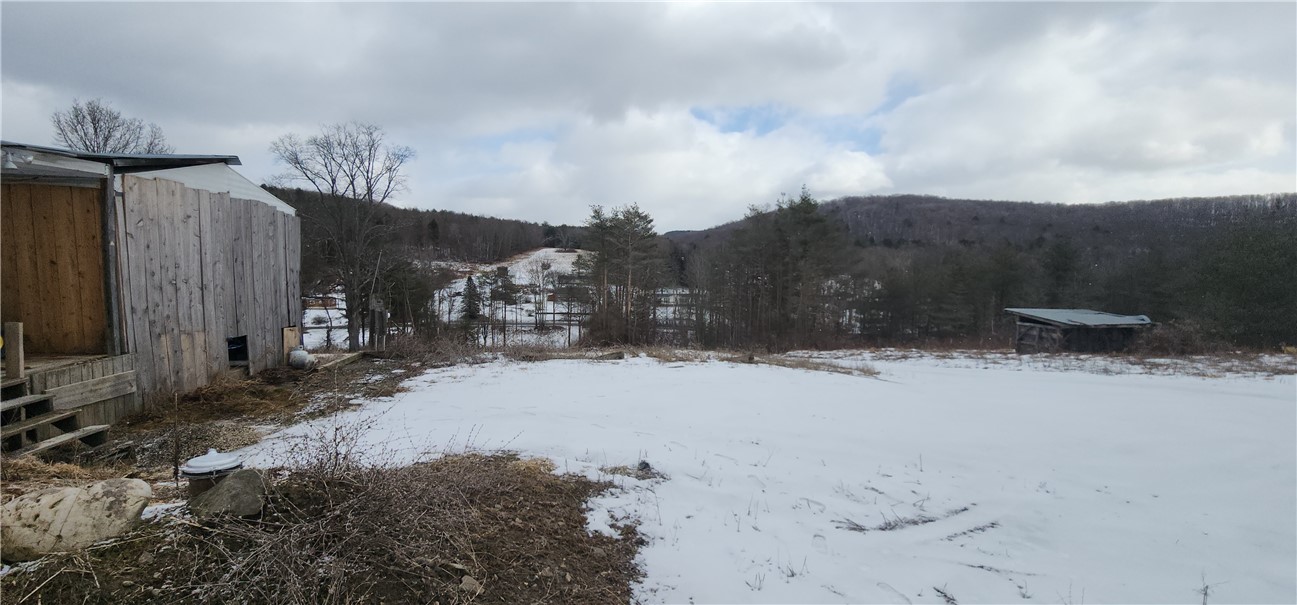 320 Owl Creek Rd Rd, Spencer, New York image 16