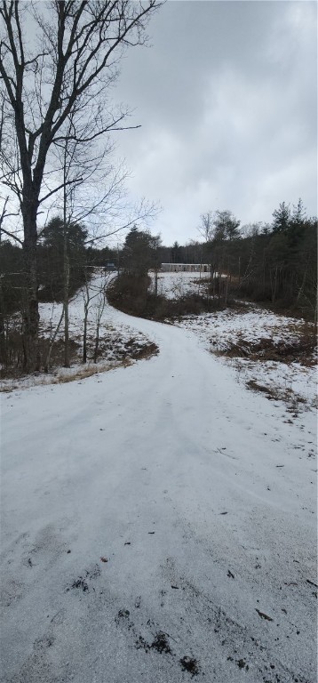 320 Owl Creek Rd Rd, Spencer, New York image 22