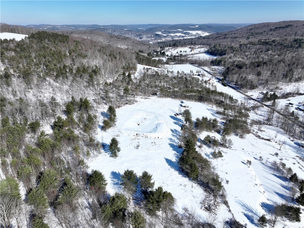 320 Owl Creek Rd Rd, Spencer, New York image 1