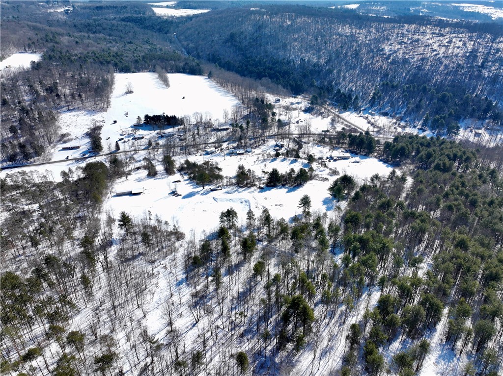 320 Owl Creek Rd Rd, Spencer, New York image 7