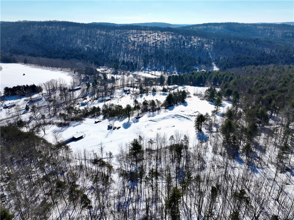 320 Owl Creek Rd Rd, Spencer, New York image 4