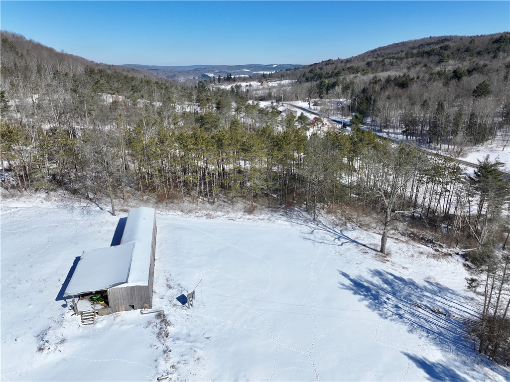 320 Owl Creek Rd Rd, Spencer, New York image 5