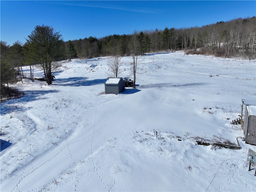320 Owl Creek Rd Rd, Spencer, New York image 10