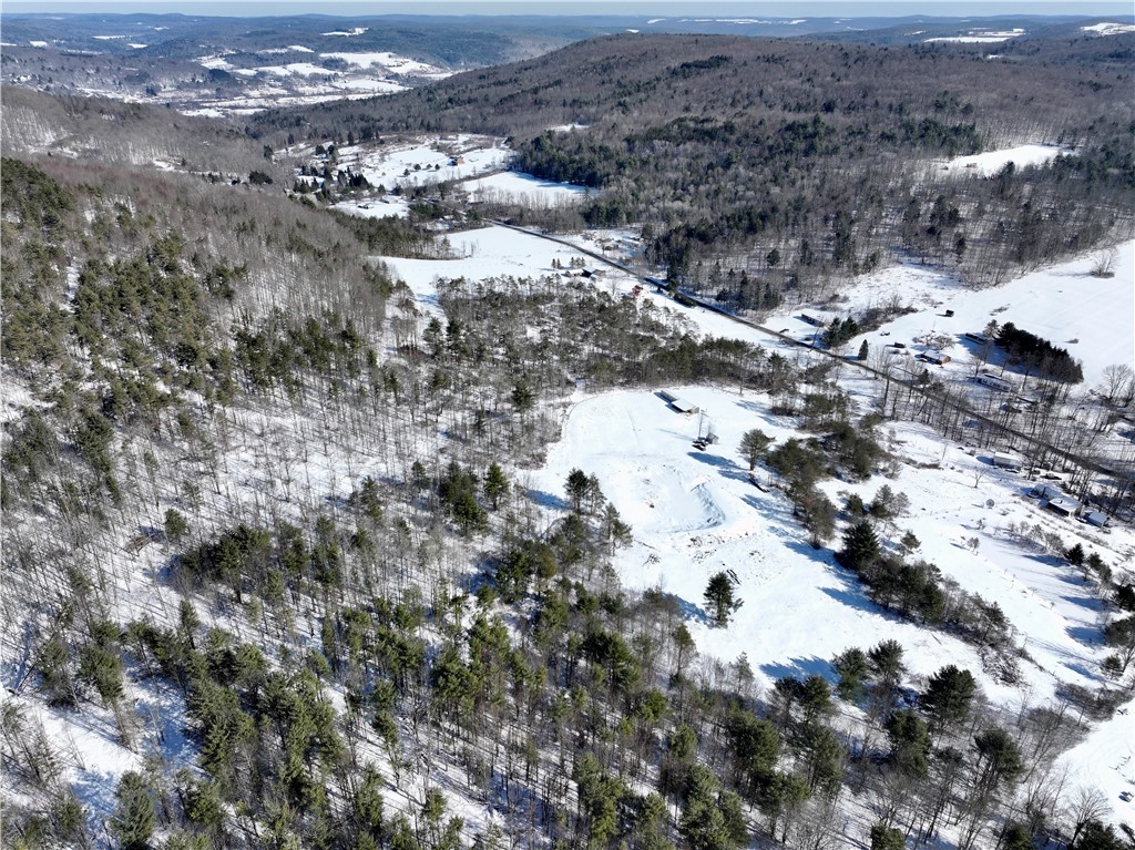 320 Owl Creek Rd Rd, Spencer, New York image 9