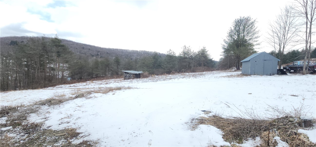 320 Owl Creek Rd Rd, Spencer, New York image 11