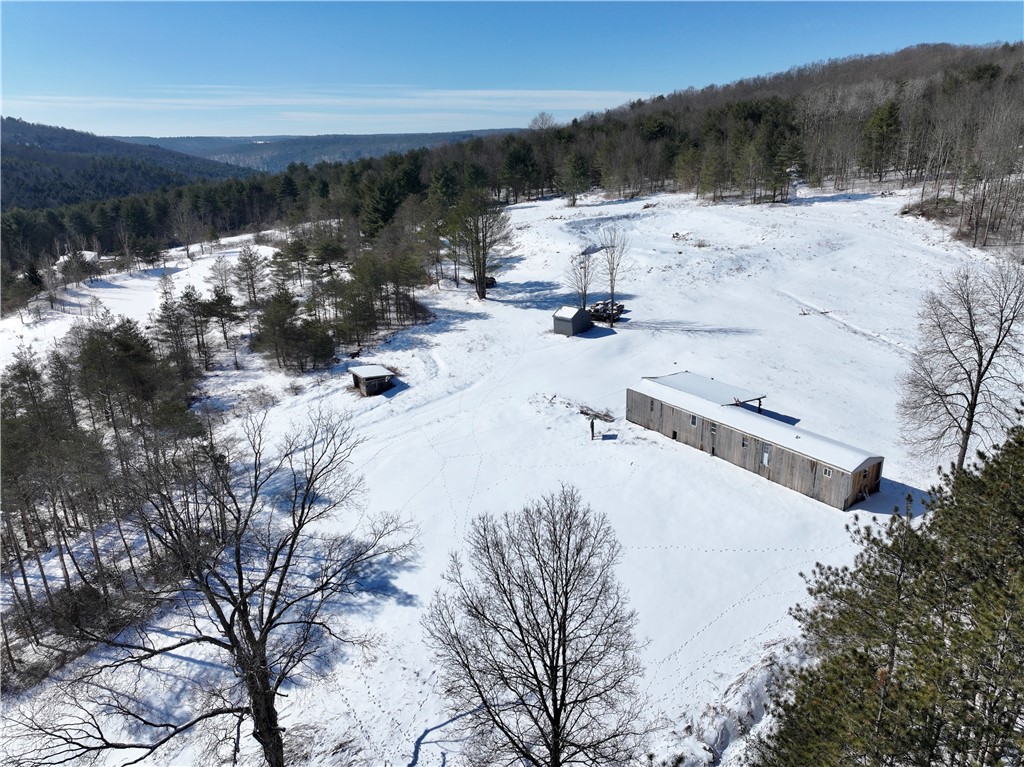 320 Owl Creek Rd Rd, Spencer, New York image 3