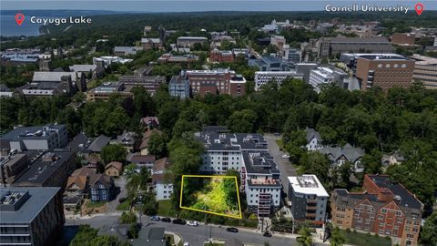 228 Dryden Road Ithaca NY 14850