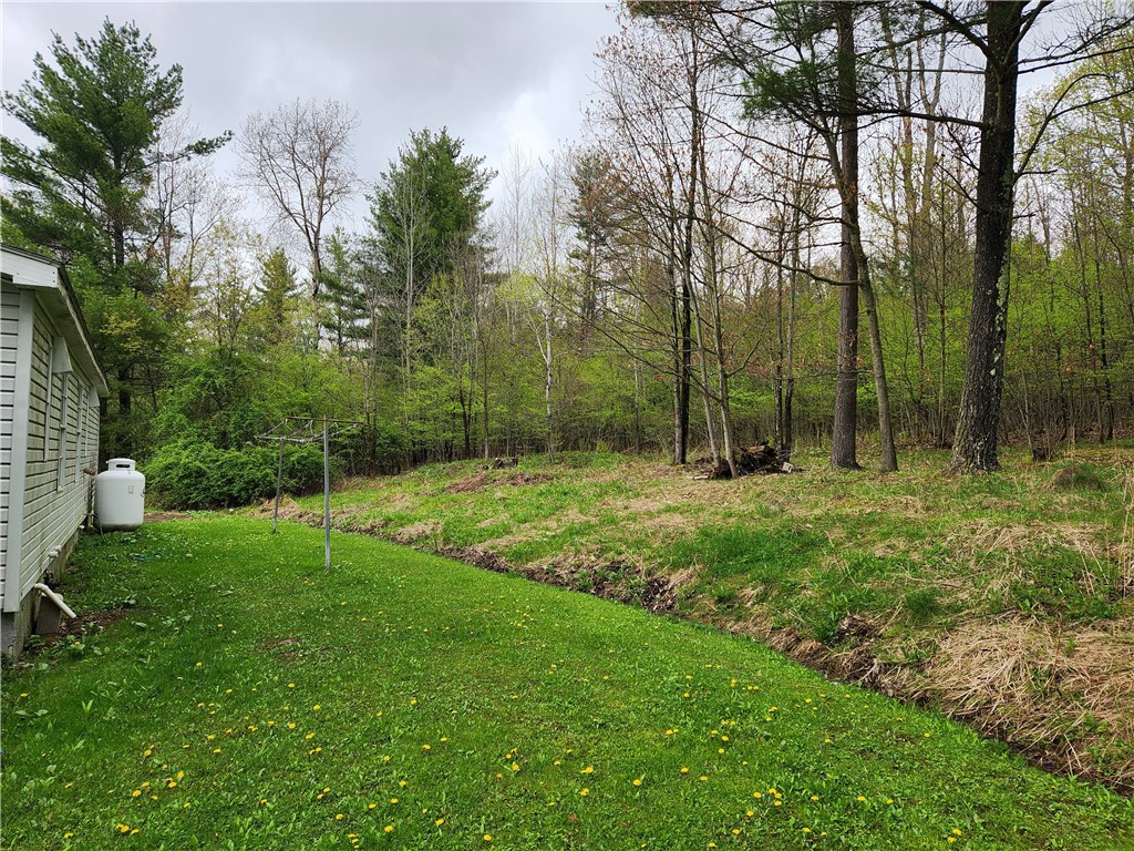 848 Langford Creek Road, Van Etten, New York image 12