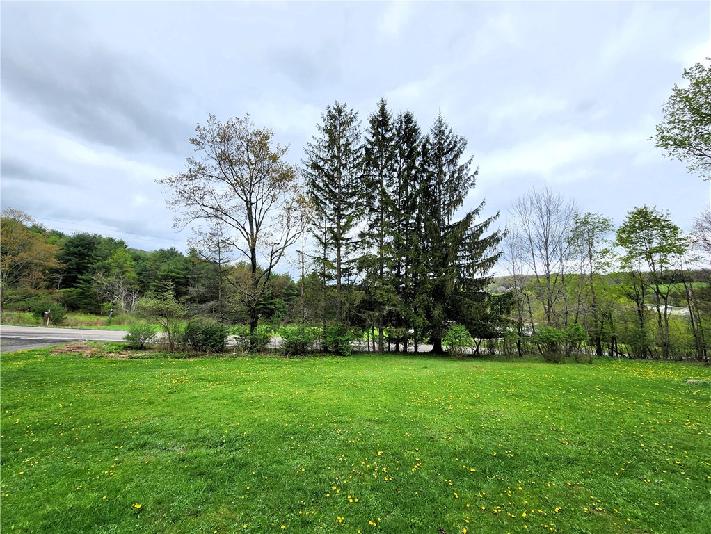 848 Langford Creek Road, Van Etten, New York image 10