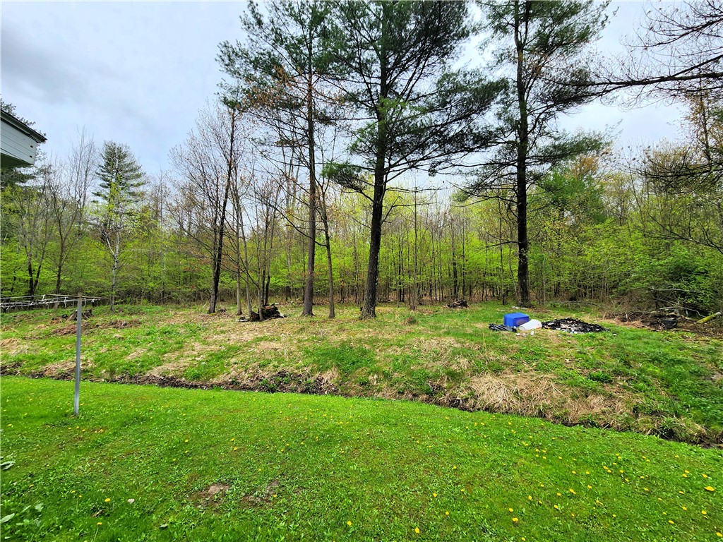 848 Langford Creek Road, Van Etten, New York image 11