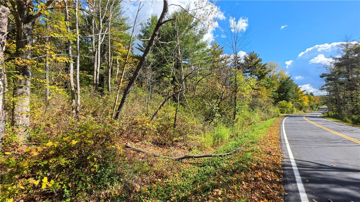 107 Ellis Hollow Creek Road