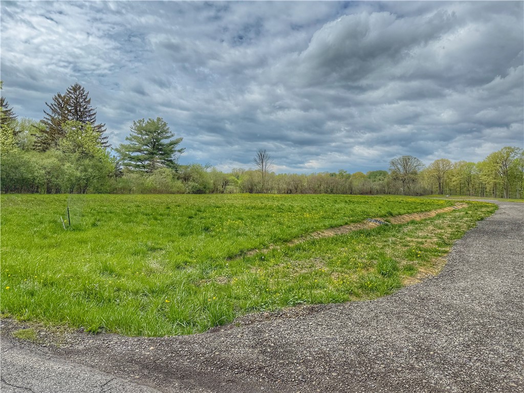 3 (Lot # 3) East Shore Circle, Lansing, New York image 3