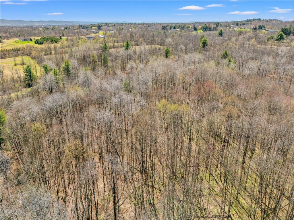 000 Peruville Road, Groton, New York image 28