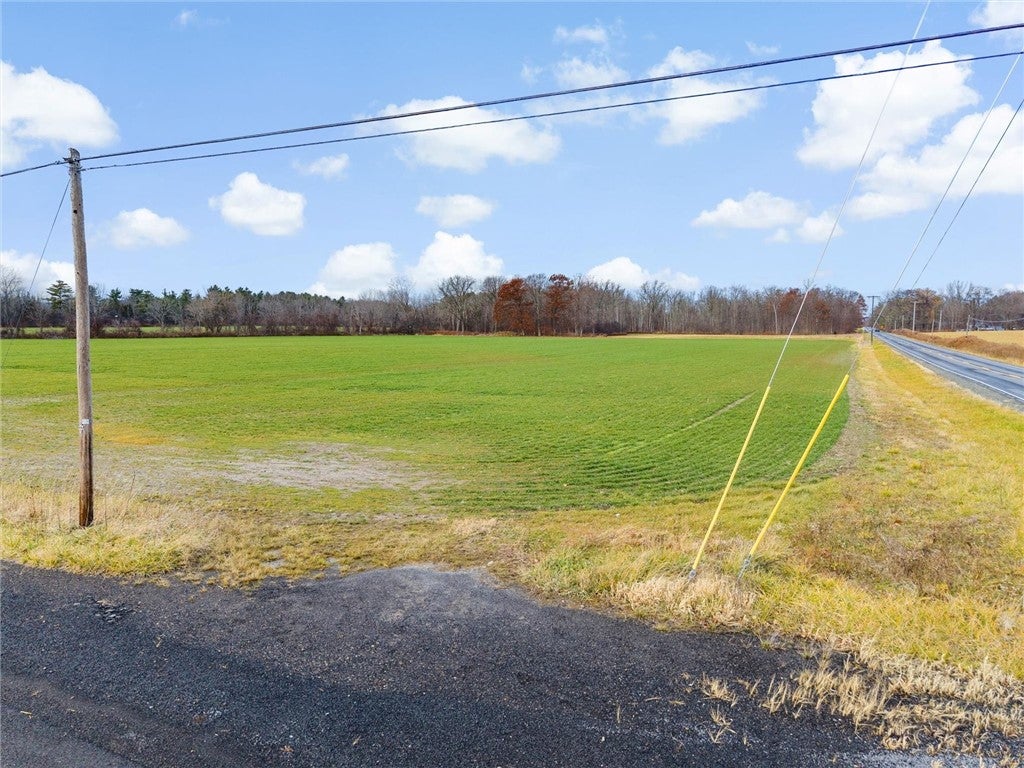 Swamp College Road