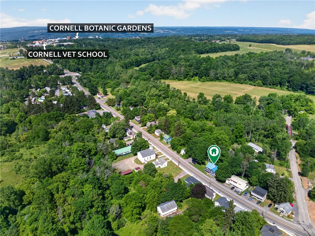 972 Dryden Road