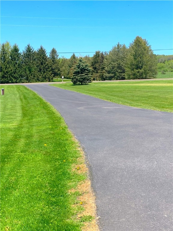 190 Mcclintock Road, Dryden, New York image 28