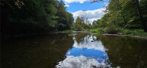 Vacant Land For Sale - Lafayette Road<br/> Tompkins County, Groton, NY 13073