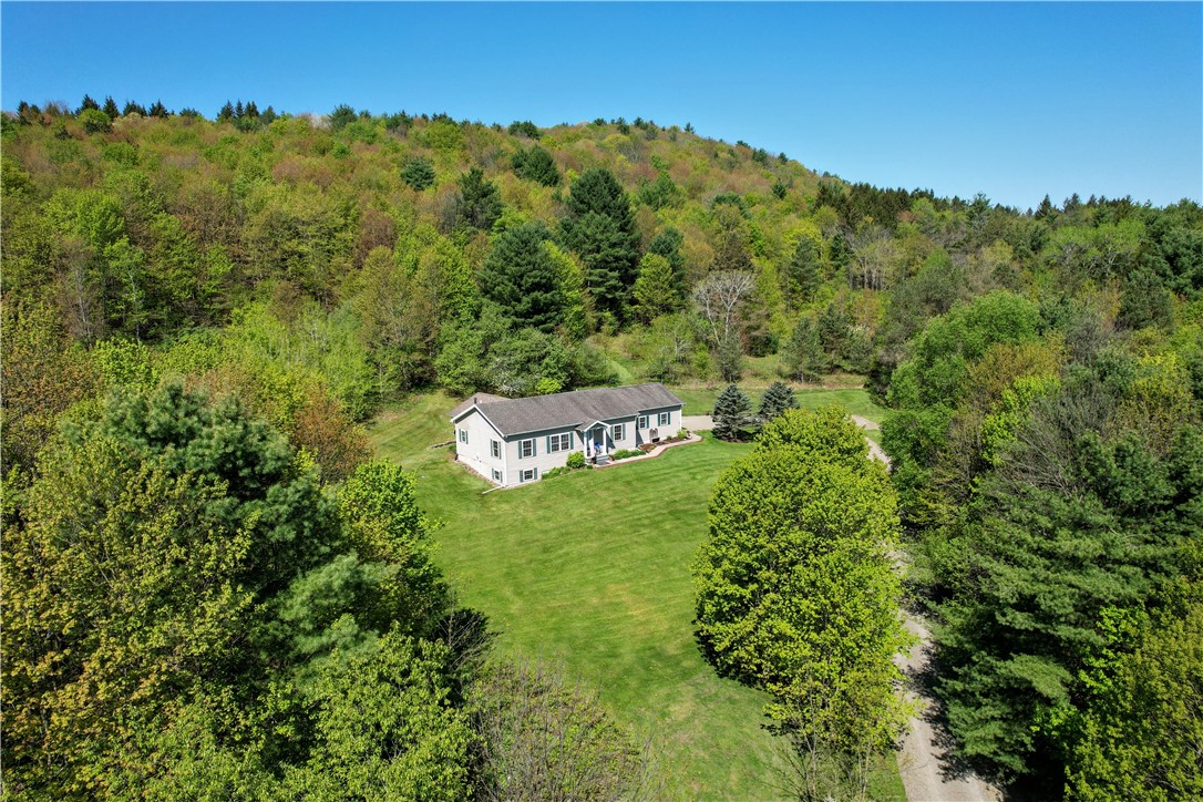 534 Lower Fairfield Road, Candor, New York image 2